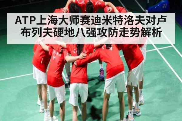 ATP上海大师赛迪米特洛夫对卢布列夫硬地八强攻防走势解析